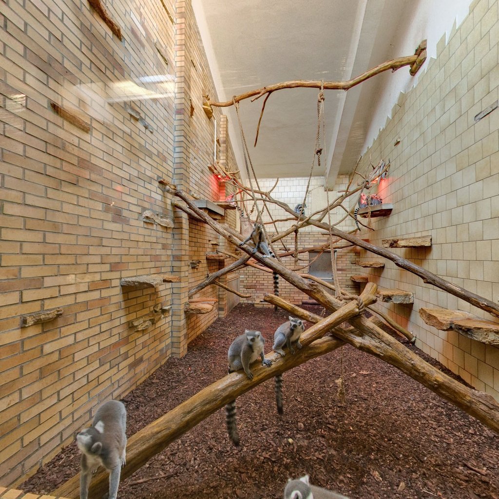 Panoramy wirtualne Opolskie ZOO